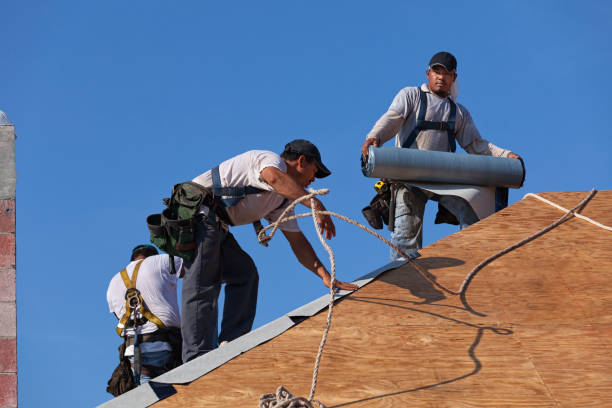 Best New Roof Installation  in Urbana, IL