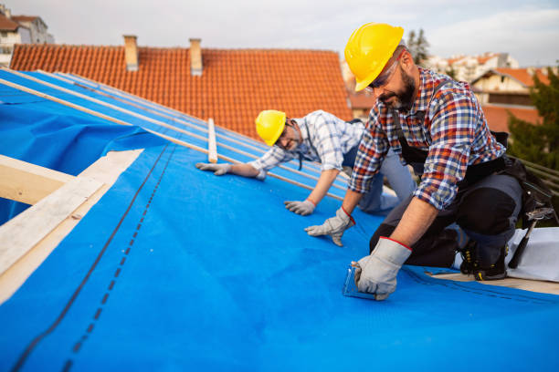 Best Affordable Roofing Company  in Urbana, IL