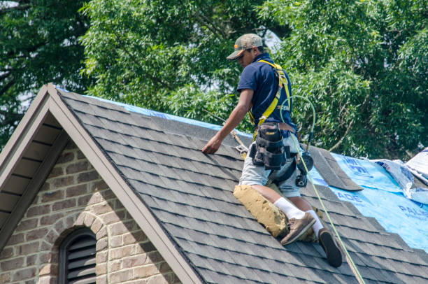 Professional Roofing Contractor in Urbana, IL